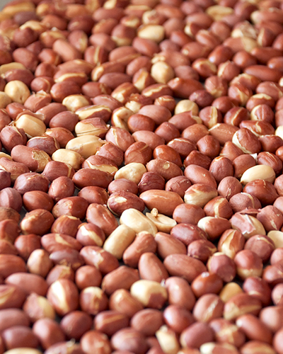 import and export snacks items