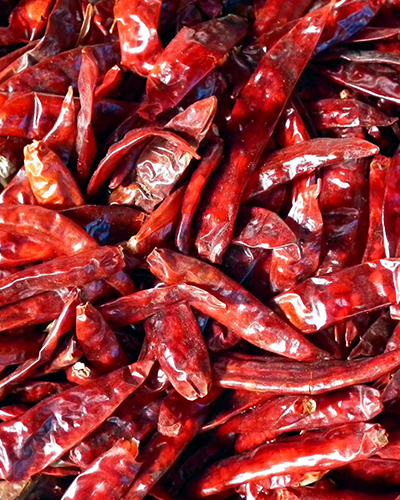 import and export spices