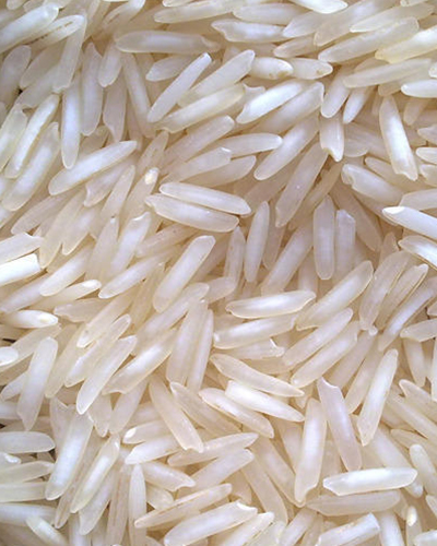 import and export spices