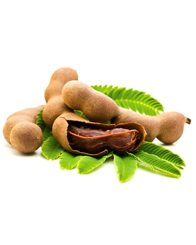 import and export spices