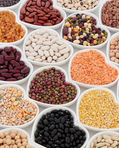 import and export spices