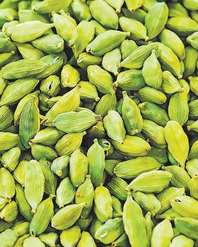 import and export spices